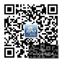 深度解析,收益与风险,投资避坑指,彩娱乐,综合娱乐平台,体育娱乐互动,稳定游戏平台,在线娱乐服务