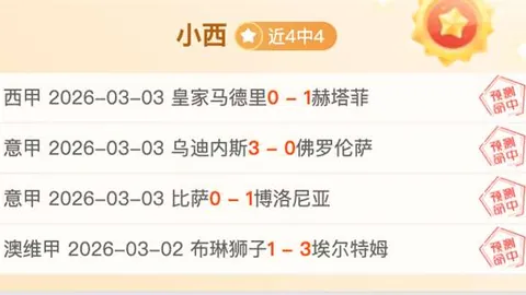 狼队1-2西哈姆惜败，英超赛场激情四溢